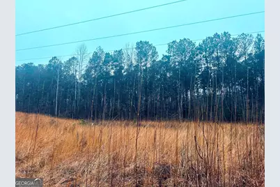 277 Pettigrew Road, Milledgeville, GA 31061 - Photo 6