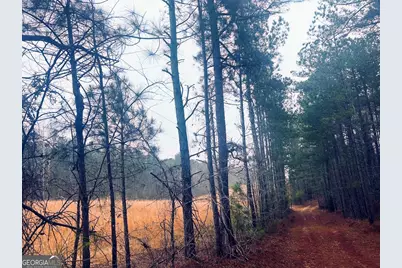 277 Pettigrew Road, Milledgeville, GA 31061 - Photo 4