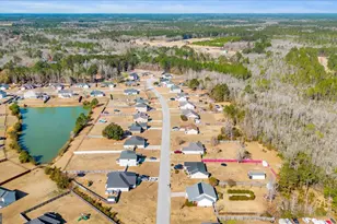 86 White Oak Road NE, Ludowici, GA 31316 - Photo 16