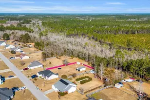 86 White Oak Road NE, Ludowici, GA 31316 - Photo 18