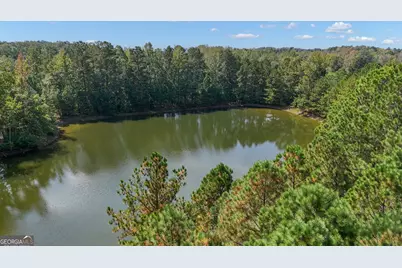 21 Long Branch Trail, Sharpsburg, GA 30277 - Photo 60