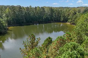 21 Long Branch Trail, Sharpsburg, GA 30277 - Photo 60