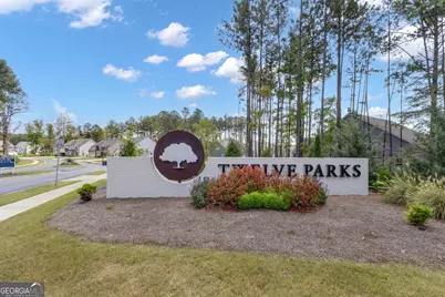 21 Long Branch Trail, Sharpsburg, GA 30277 - Photo 52