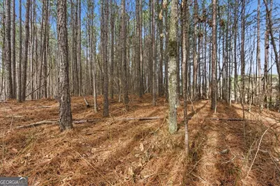 0 Williamson Road, Tallapoosa, GA 30176 - Photo 14