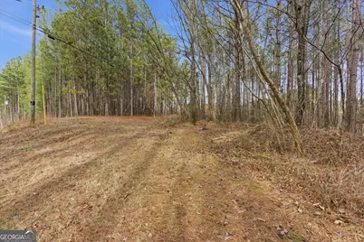 0 Williamson Road, Tallapoosa, GA 30176 - Photo 10