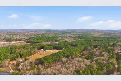 0 Williamson Road, Tallapoosa, GA 30176 - Photo 8