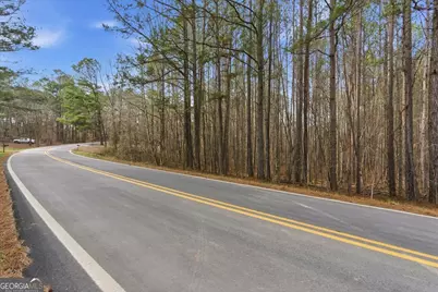 0 Williamson Road, Tallapoosa, GA 30176 - Photo 18