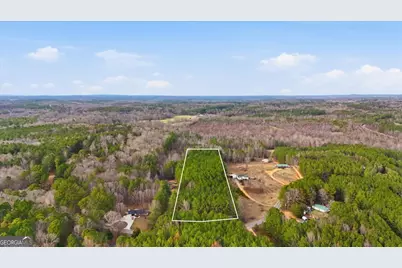 0 Williamson Road, Tallapoosa, GA 30176 - Photo 4