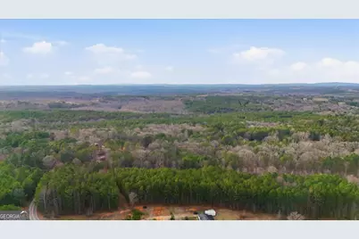 0 Williamson Road, Tallapoosa, GA 30176 - Photo 6