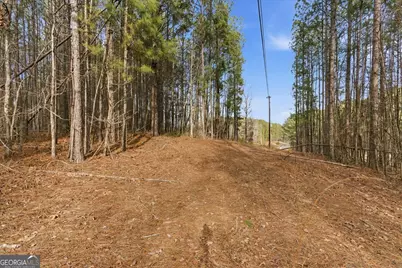 0 Williamson Road, Tallapoosa, GA 30176 - Photo 12