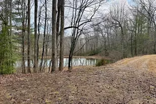 1365 Sky Lake Rd, Sautee Nacoochee, GA 30571 - Photo 36