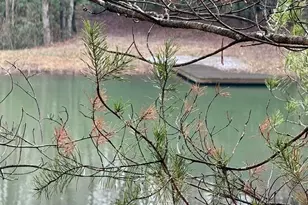 1365 Sky Lake Rd, Sautee Nacoochee, GA 30571 - Photo 48