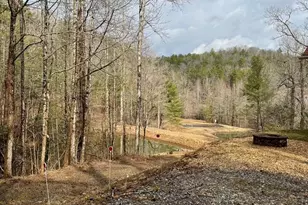 1365 Sky Lake Rd, Sautee Nacoochee, GA 30571 - Photo 44