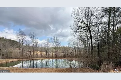 1365 Skylake Road, Sautee Nacoochee, GA 30571 - Photo 34