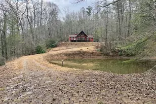 1365 Sky Lake Rd, Sautee Nacoochee, GA 30571 - Photo 38