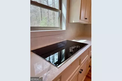 1365 Skylake Road, Sautee Nacoochee, GA 30571 - Photo 22