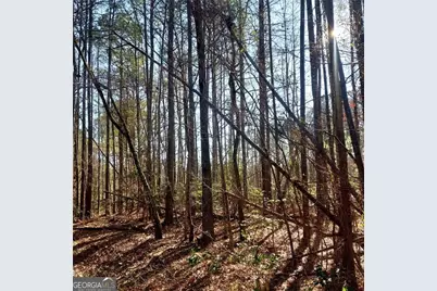 450 W Lake Drive, Oxford, GA 30054 - Photo 4