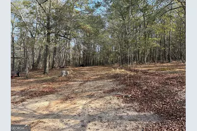 126 Kinsey Drive, Stockbridge, GA 30281 - Photo 52