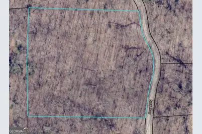 0 Deer Run, Morganton, GA 30560 - Photo 6