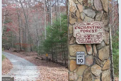 0 Deer Run, Morganton, GA 30560 - Photo 1