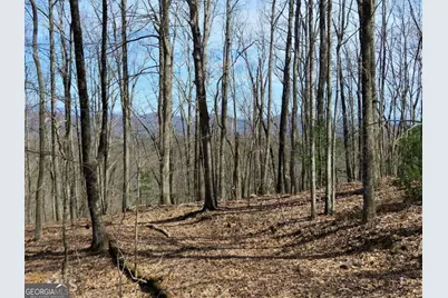 0 Deer Run, Morganton, GA 30560 - Photo 2