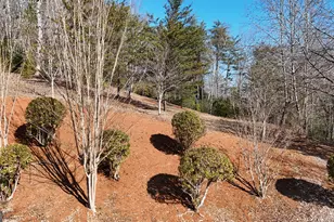 120 Ridgeland, Sautee Nacoochee, GA 30571 - Photo 64