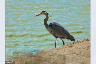 443 Beacon Court, Griffin, GA 30223 - Photo 46