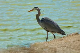 443 Beacon Court, Griffin, GA 30223 - Photo 46