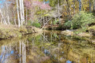 102 Maple Ln, Blairsville, GA 30512 - Photo 56