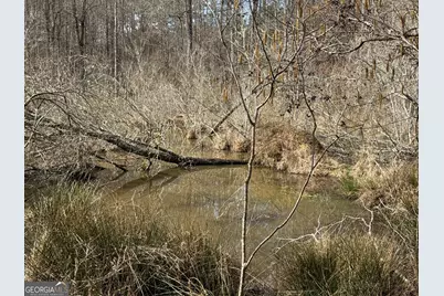 4.5 Acres Whatley Road N, Lagrange, GA 30240 - Photo 20