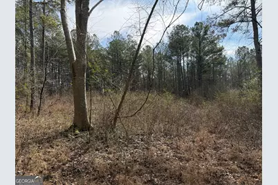 4.5 Acres Whatley Road N, Lagrange, GA 30240 - Photo 16