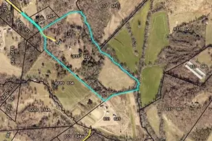 551 P S Rd, Toccoa, GA 30577 - Photo 4