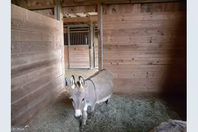 551 P. S. Road, Toccoa, GA 30577 - Photo 78