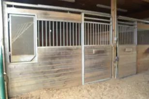 551 P S Rd, Toccoa, GA 30577 - Photo 6