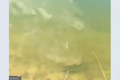 79 Hester Road, Hazlehurst, GA 31539 - Photo 8