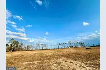 79 Hester Road, Hazlehurst, GA 31539 - Photo 14