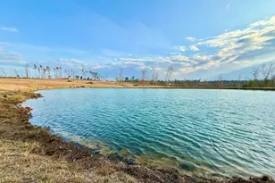 79 Hester Rd, Hazlehurst, GA 31539 - Photo 1