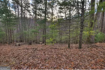 Lt M57 Walnut Mountain Court, Ellijay, GA 30536 - Photo 12