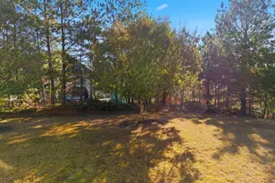 1719 Cromwell Ln, Lithia Springs, GA 30122 - Photo 48