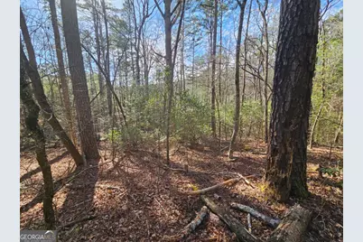 Lot 77 Roaring Forks Lane #77, Ellijay, GA 30540 - Photo 16