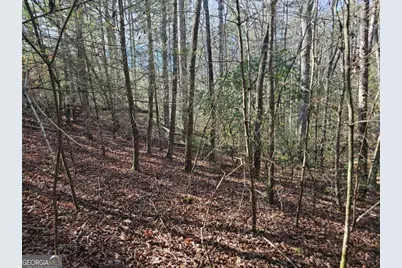 Lot 77 Roaring Forks Lane #77, Ellijay, GA 30540 - Photo 10