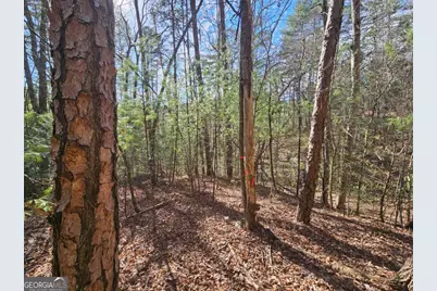 Lot 77 Roaring Forks Lane #77, Ellijay, GA 30540 - Photo 14