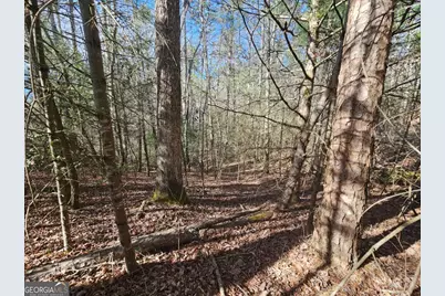 Lot 77 Roaring Forks Lane #77, Ellijay, GA 30540 - Photo 12