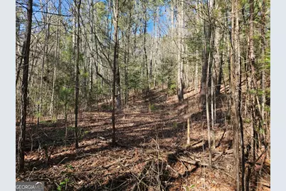 Lot 77 Roaring Forks Lane #77, Ellijay, GA 30540 - Photo 22