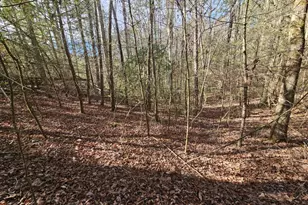 Lot 77 Roaring Forks Ln, Ellijay, GA 30540 - Photo 1