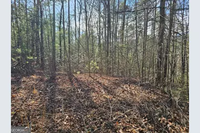 Lot 77 Roaring Forks Lane #77, Ellijay, GA 30540 - Photo 8