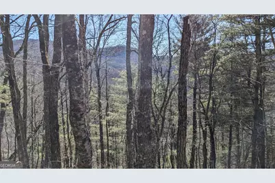 0 Lot 111 Ridgepole Drive Drive, Sky Valley, GA 30537 - Photo 8