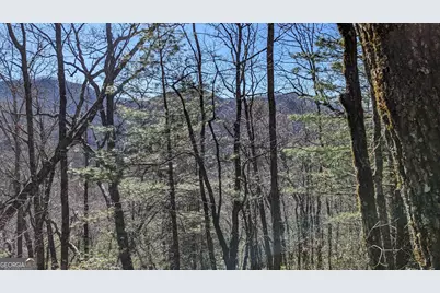 0 Lot 111 Ridgepole Drive Drive, Sky Valley, GA 30537 - Photo 18