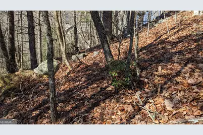 0 Lot 111 Ridgepole Drive Drive, Sky Valley, GA 30537 - Photo 20