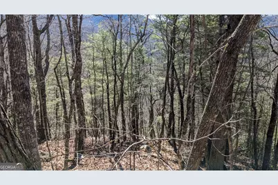 0 Lot 111 Ridgepole Drive Drive, Sky Valley, GA 30537 - Photo 16